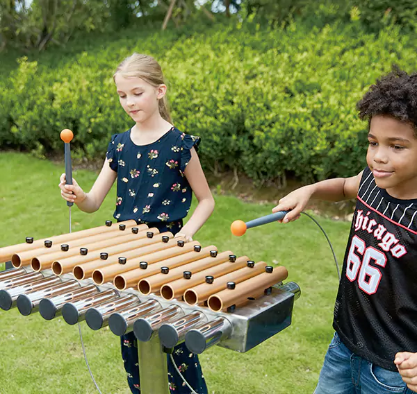 कस्टम थीम